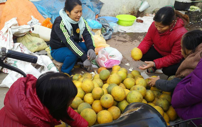 Theo chân bà nội trợ đi chợ làng sáng cuối tuần: Cái gì cũng muốn mua vì quá tươi và ngon!