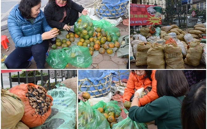 Người Hà Nội rủ nhau mua nông sản sạch ủng hộ người Hà Giang ăn Tết