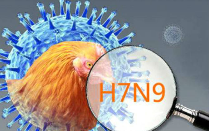 Bộ Y tế khuyến cáo cách phòng chống cúm A(H7N9)