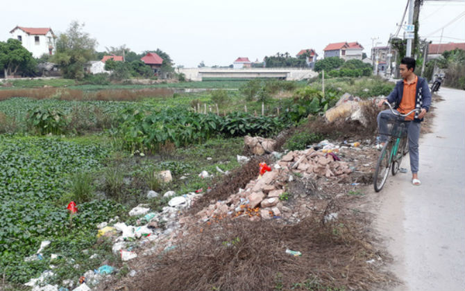 Gà Đông Tảo chết hàng loạt ở Hưng Yên: Nguyên nhân do tụ huyết trùng