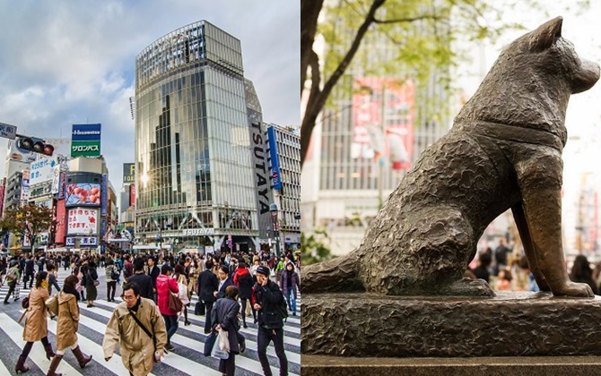 Sợ sự đông đúc, ồn ào của Tokyo thì Shibuya là điểm thay thế hoàn hảo