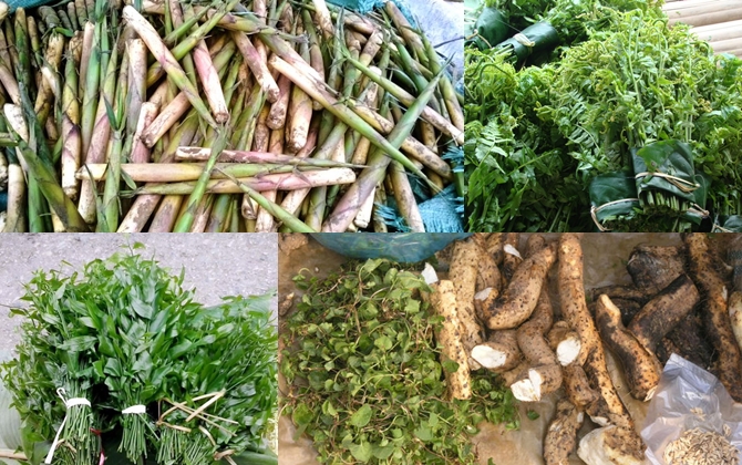 Kiếm tiền triệu mỗi ngày nhờ mang rau rừng về phố bán