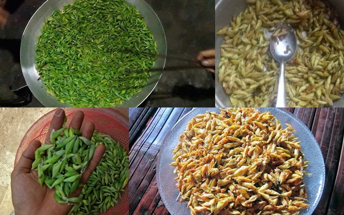 Tranh thủ lúc nhộng muồng vào mùa, bà nội trợ ráo riết săn lùng về ăn