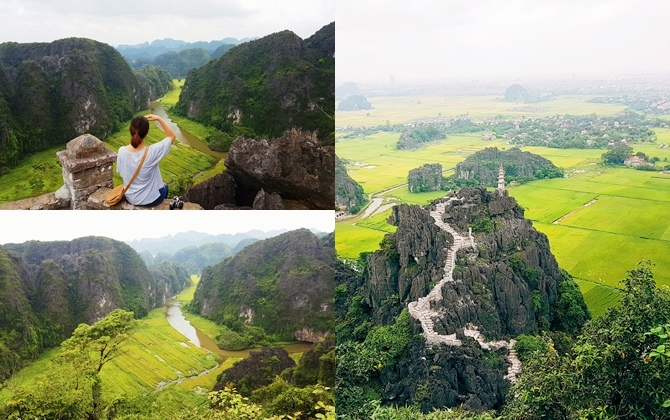 Ninh Bình đang rất đẹp với mùa lúa chín, bạn nên đi ngay trong tuần này!