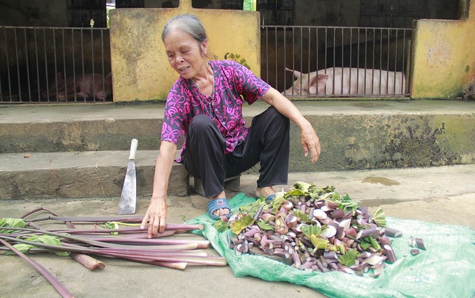 Tâm sự của bà lão bị tiểu thương dằn mặt, dọa vứt thịt lợn xuống ao vì dám... mổ lợn nhà đem bán