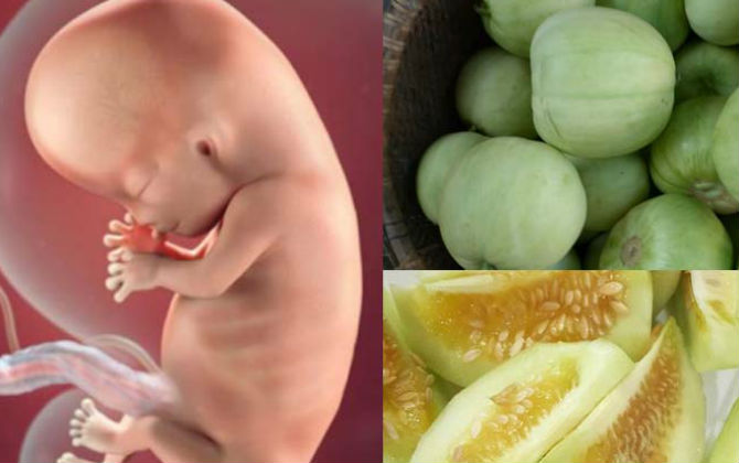 Bà bầu ăn loại quả đang bán nhan nhản này vào mùa hè chắc chắn bổ mẹ khỏe con