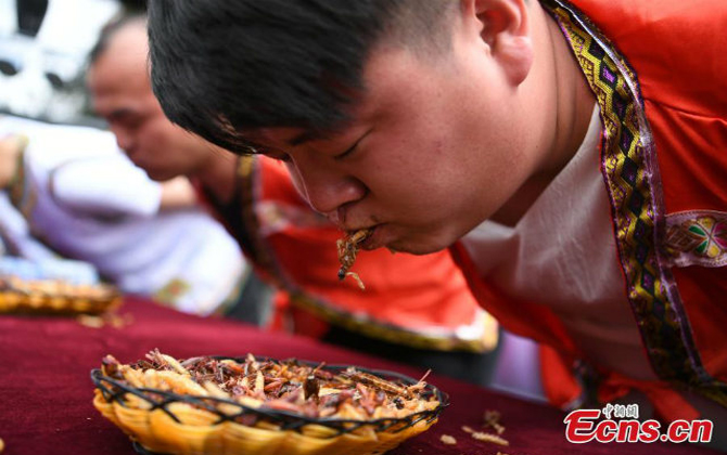 Chàng trai thắng giải 1 thanh vàng 24 cara nhờ ăn 1,23 kg côn trùng chiên trong 5 phút