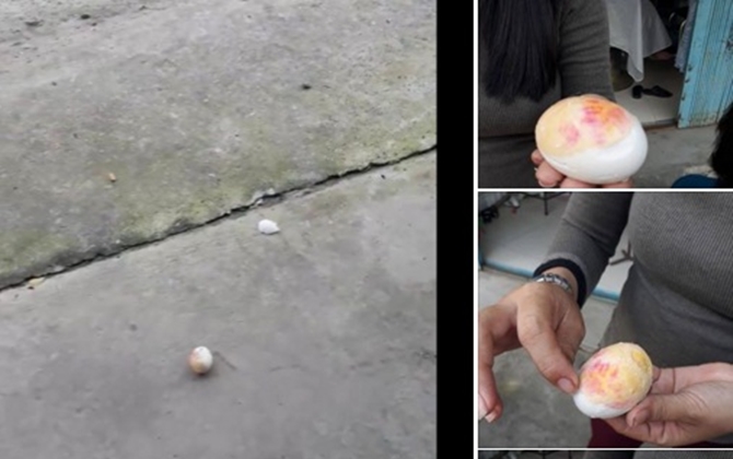 Hãi hùng trứng vịt luộc màu hồng ném xuống đất vài lần không vỡ