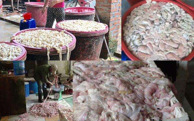 Kinh hoàng những vụ lòng heo ngâm hóa chất để tẩy trắng rúng động dư luận