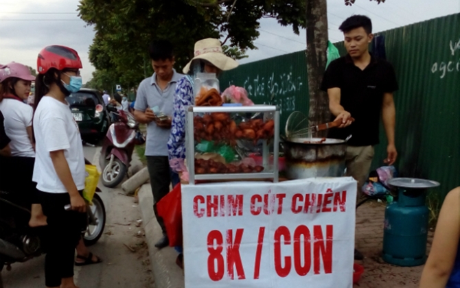 Chim cút quay giòn 'giá bèo' chỉ 8.000 - 10.000 đồng/con, bán la liệt ven đường: 'người ta ăn đầy, có sao đâu'