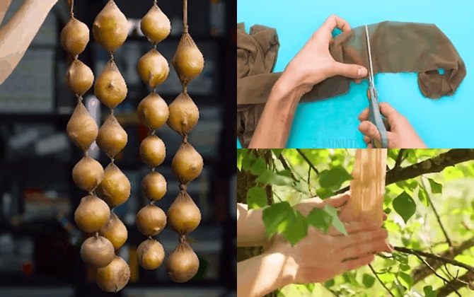 Chỉ một chiếc quần tất hỏng nhưng có thể tận dụng làm hẳn 4 việc tiện ích
