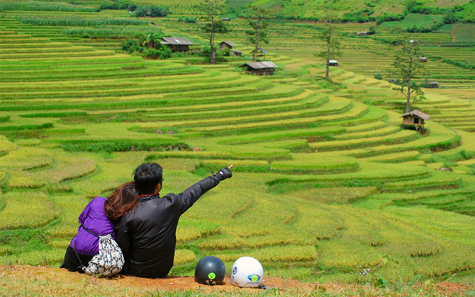 Về Lìm Thái - Lìm Mông ngắm nhìn mùa vàng Cao Phạ