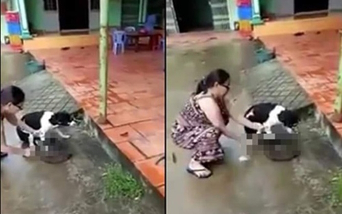 Phẫn nộ clip người phụ nữ thản nhiên chặt chân chú chó còn sống ngay trước hiên nhà