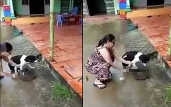 Người phụ nữ cầm dao chặt chân chó: "Tôi làm vậy để bảo vệ và không muốn ai đánh bả, giết thịt nó"