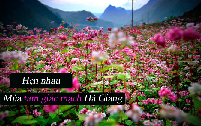 Hẹn nhau mùa tam giác mạch bừng nở ở Hà Giang