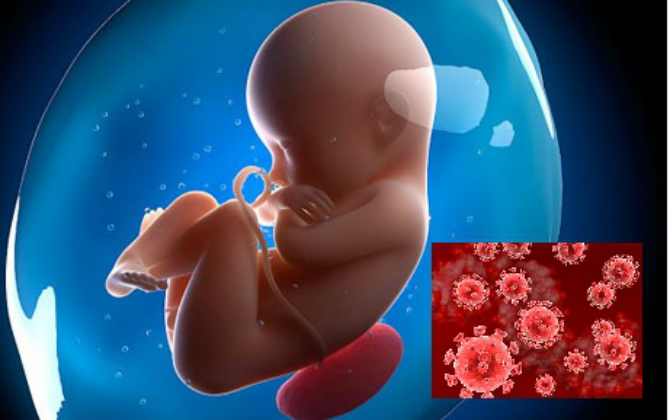 Lý do quan trọng khiến bà bầu nhiễm HIV không truyền được vi rút cho con khi đang trong bào thai