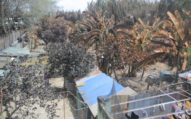 Lạnh người cảnh khu dân cư xơ xác sau sự cố rò khí amoniac