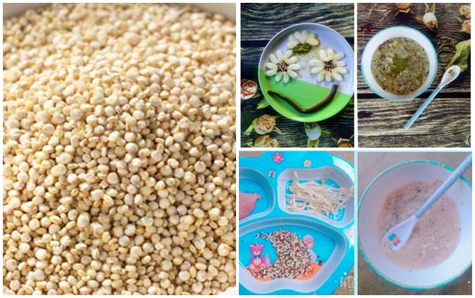 Các mẹ Việt đang phát cuồng vì hạt quinoa cho món ăn dặm của bé yêu