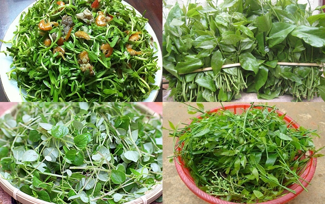 Những loại rau giá 100 ngàn đồng/kg vẫn hút bà nội trợ thành phố mua về đổi gió bữa ăn