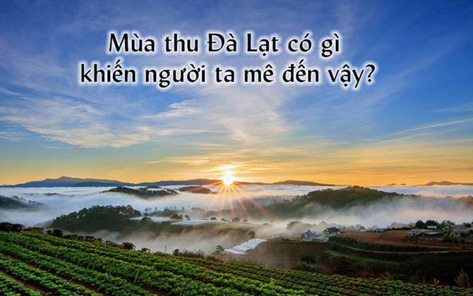 Thu Đà Lạt có gì mà làm say lòng người đến thế?