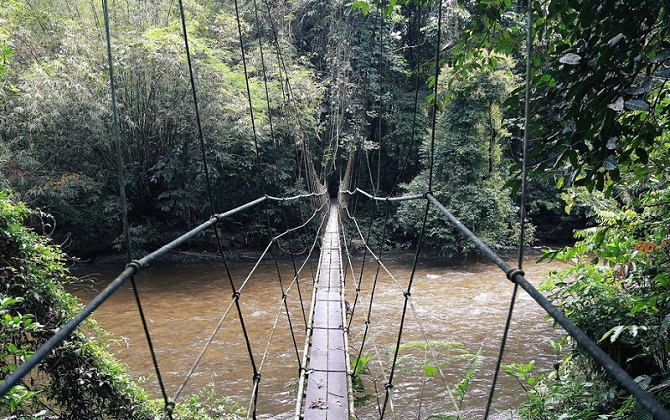 Lạc vào thảo cầm viên 'phiên bản tự nhiên' Mulu ở Malaysia