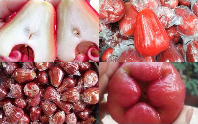 Mận An Phước chính vụ đỏ tươi, thơm ngọt giá 70 ngàn/kg: Nhiều khách tới tấp đặt mua số lượng lớn từ  20 - 50kg