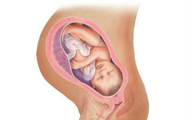 Nhật ký tháng cuối của thai nhi: Con đã nặng và cao từng này rồi, lại thèm nhất 5 món ngọt lịm, mẹ nhớ ăn nhiều vào nhé