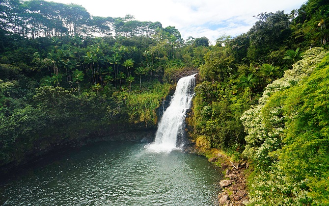 Chẳng gì thích bằng cùng cả gia đình lên đường khám phá đảo Hawaii kỳ thú