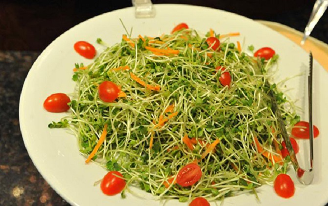 Thực đơn 3 món salad giảm cân đơn giản, dễ làm cho ngày lạnh ngại gì không thử