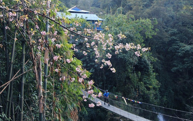 Hẹn hò trekking ở những vùng núi đẹp nhất ở Nepal