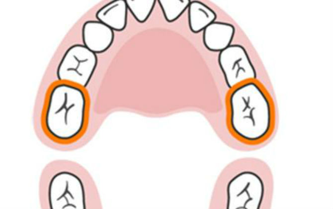 Thì ra bấy lâu bố mẹ đều nhầm lịch mọc răng của trẻ, đây mới là sự thật cần lưu lại nhé