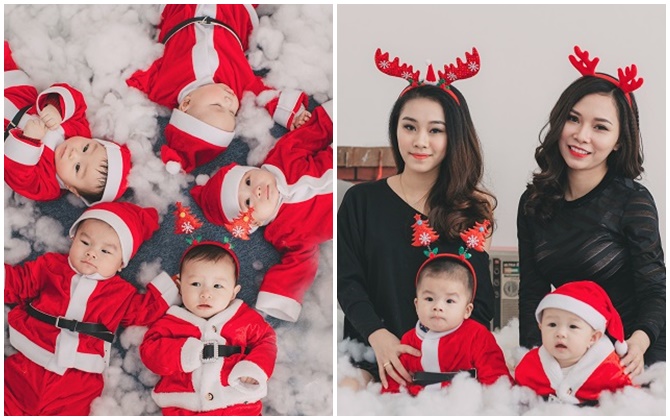 Ngất ngây với bộ ảnh Gà con đón Noel đầu tiên