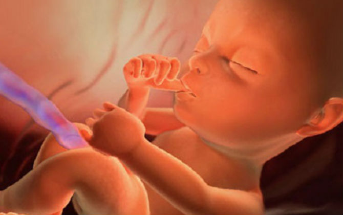 Mẹ bầu có bận rộn Tết đến mấy, đừng quên kiểu ăn sáng chuẩn như này giúp thai nhi hấp thu toàn bộ dinh dưỡng sau cả đêm dài đói meo