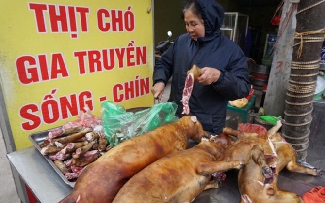 Tranh cãi việc ăn thịt chó ‘giải hạn’, cầu may mắn trong năm mới Mậu Tuất 2018