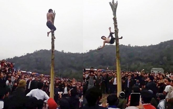 Leo ngọn chuối gần chục mét để lấy 150 nghìn, nam thanh niên rơi xuống đất bất tỉnh