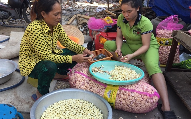 Sài Gòn: Rát tay, cay mắt bóc hành tỏi, nhận 2 nghìn đồng/kg