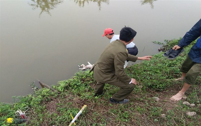 Hà Nam: Người dân đi thăm đồng về, phát hiện thi thể bé sơ sinh nổi trên mương nước