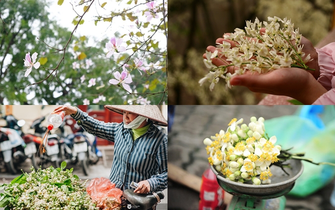 “Điểm danh” những mùa hoa tháng 3 đẹp mê hồn: Người Hà Nội rủ nhau đi pose ảnh