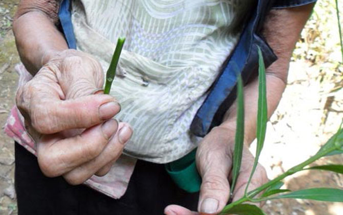 Phá thai bằng que nứa: Bác sĩ sản khoa... cũng 'sốc' nặng