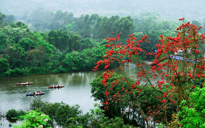 Những địa điểm ‘săn’ hoa gạo đẹp miên man ở Hà Nội