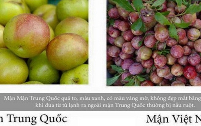 Mẹo phân biệt mận Việt Nam và mận Trung Quốc cực đơn giản chỉ trong nháy mắt