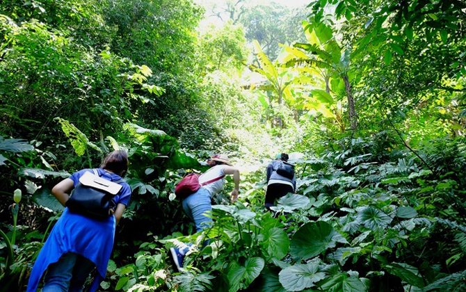 Muốn trekking mà không phải đi quá xa Hà Nội hãy đến Ba Vì