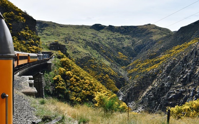 Chỉ cần ghi nhớ ngay bí quyết này bạn có thể vòng quanh New Zealand mà không cần lái xe