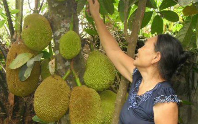 Tết Đoan Ngọ: Dân mạng thi nhau đoán tục lệ vô cùng lạ vào 12h trưa, nhiều người ngỡ ngàng khi biết tên