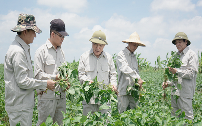 Đậu nành dược liệu - Khái niệm mới về dược liệu sạch người tiêu dùng cần biết