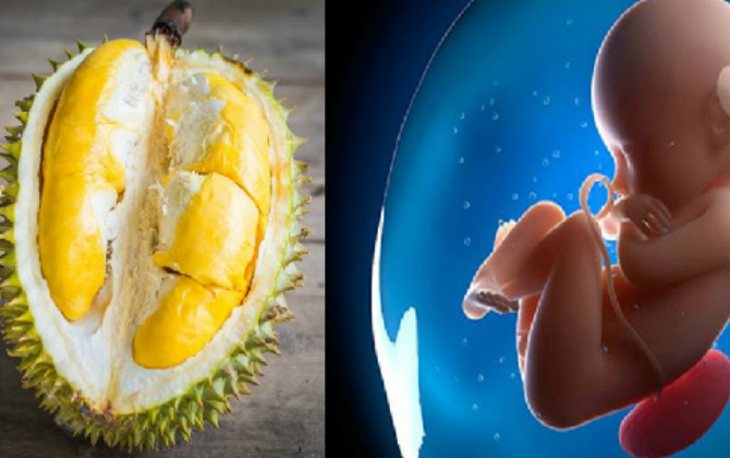 Sự thực lời truyền mẹ ăn nhiều sầu riêng con sinh ra sẽ “NẶNG MÙI"