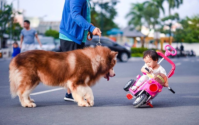 Màn "LÁCH XE" SIÊU ĐẲNG tránh chướng ngại vật của bé gái khiến ai xem cũng cười nắc nẻ