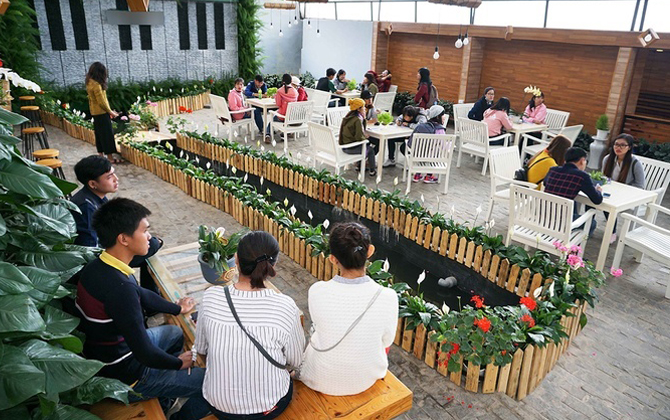 Thú vị quán cà phê vừa uống vừa ngắm rau ở Đà Lạt