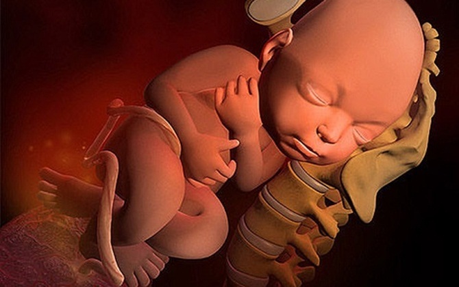 Kinh ngạc trong thai kỳ, những điều không ai nói với mẹ