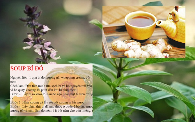 Mách mẹ 6 loại rau củ quả siêu rẻ giúp mẹ GỌI SỮA VỀ dư dật